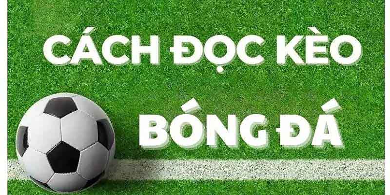 Hiểu rõ các loại kèo phổ biến nhất