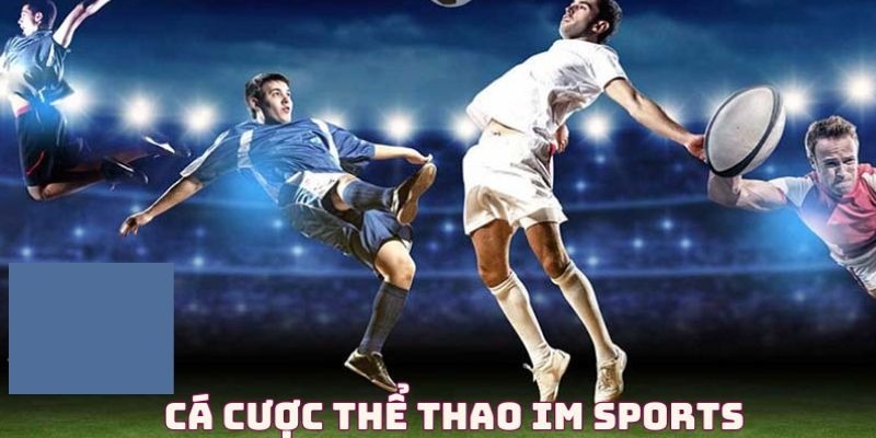 Tổng quan về IM Sports VZ99