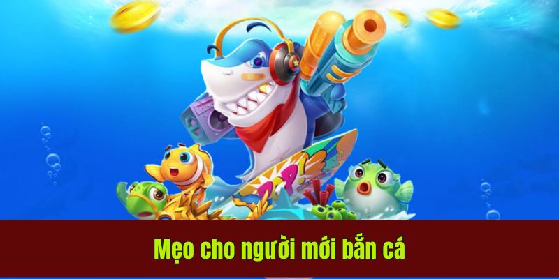 Mẹo cho người mới bắn cá