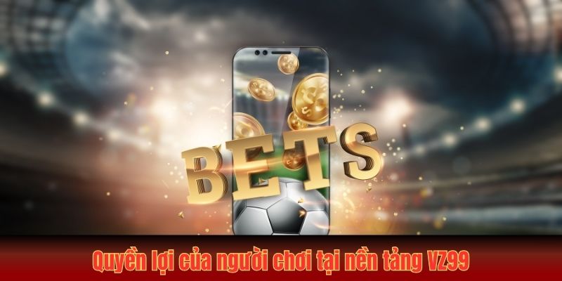 Quyền lợi của người chơi trong điều khoản và điều kiện VZ99