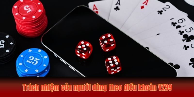 Trách nhiệm của người dùng theo điều khoản VZ99