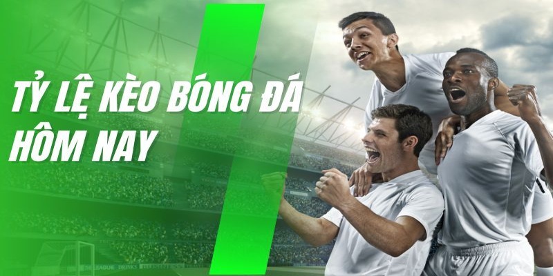 Phân loại những tỷ lệ phổ biến hiện nay