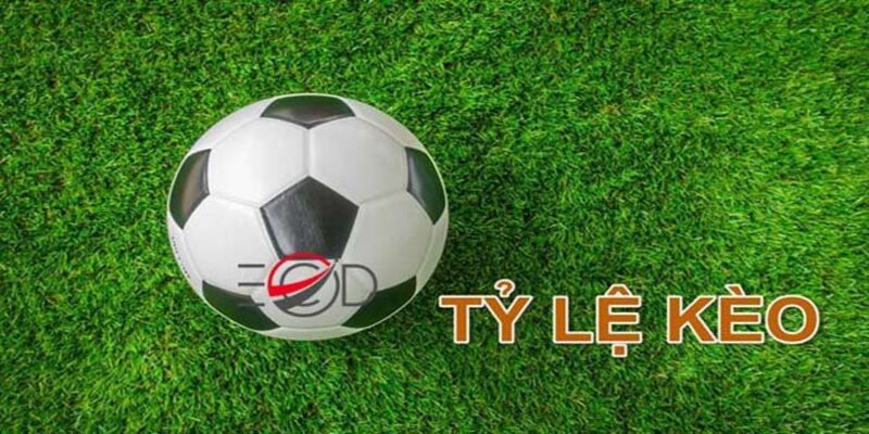 Những ý nghĩa về tỷ lệ kèo nhà cái